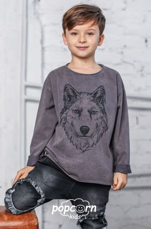 Chlapčenské tričko grey WOLF Mash Mnie